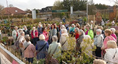 Außenanlage Blumen Brockmeyer 2
