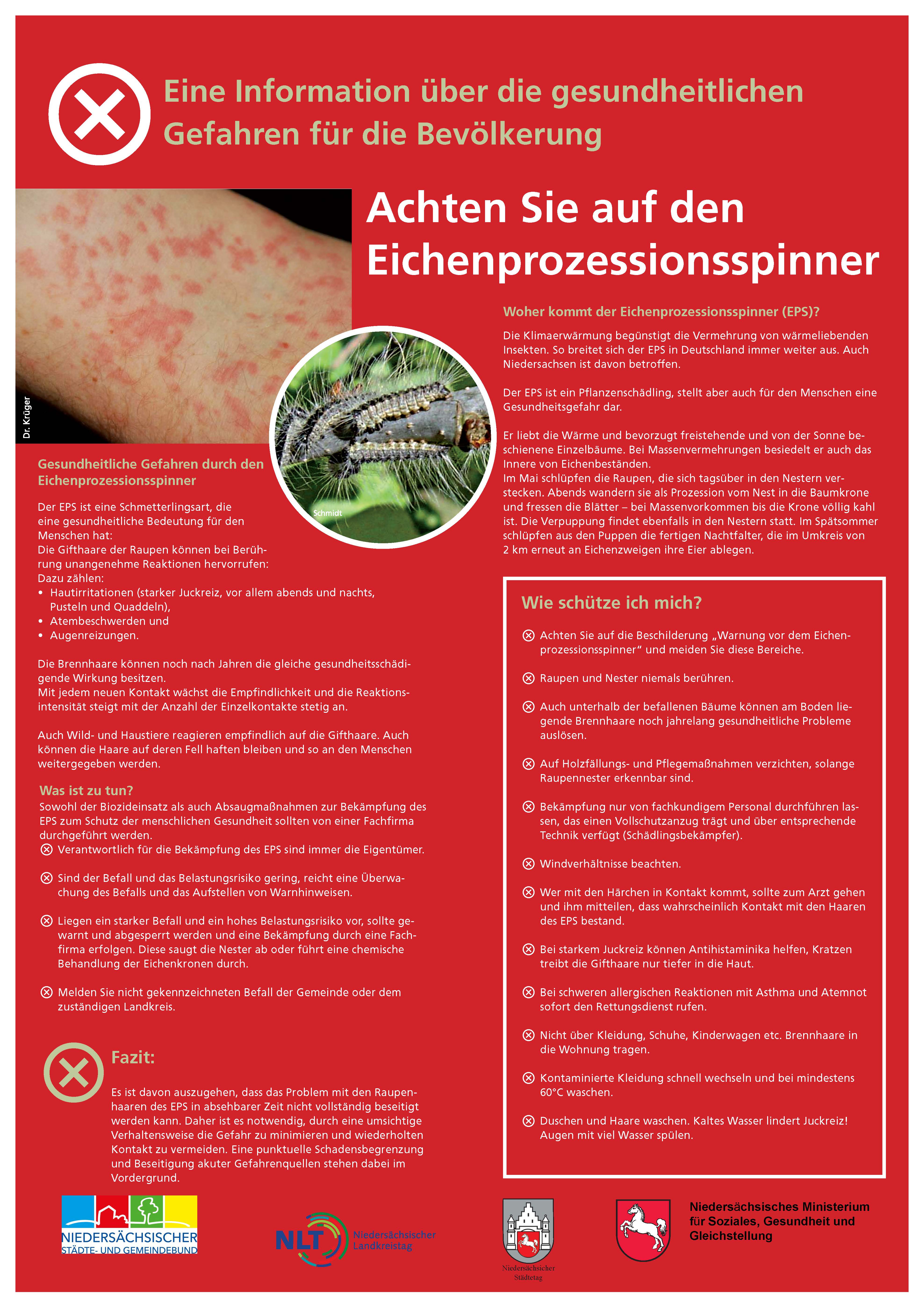 Informationen zum Eichenprozessionsspinner