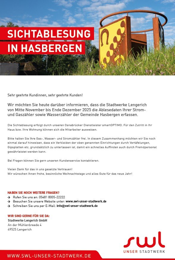 Flyer Zählerablesung 2025